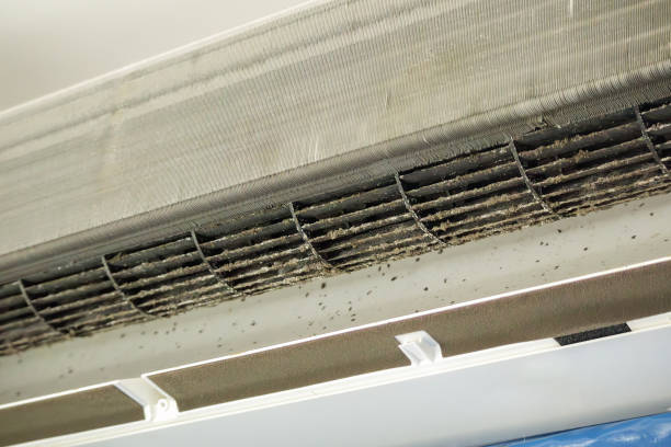 Best Best Air Duct Cleaning Company  in Odessa, MO